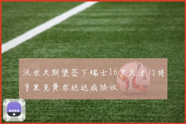 沃尔夫斯堡签下瑞士16岁天才门将亨里克费尔达达成协议
